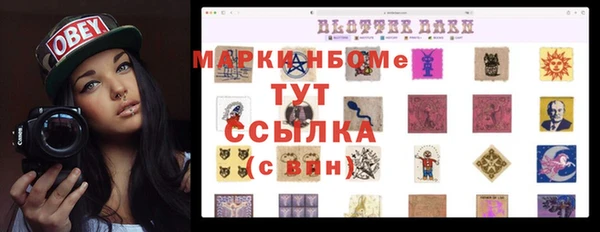 дурь Карпинск